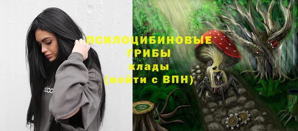 герыч Козельск