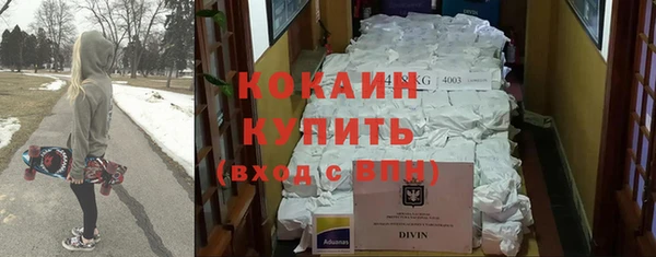 PSILOCYBIN Кодинск