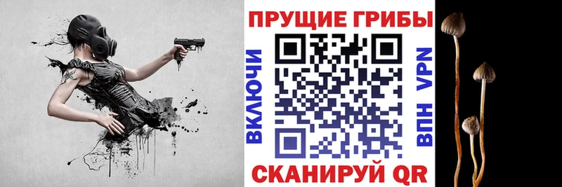 Купить закладки  Белый  Галлюциногенные грибы мухоморы 